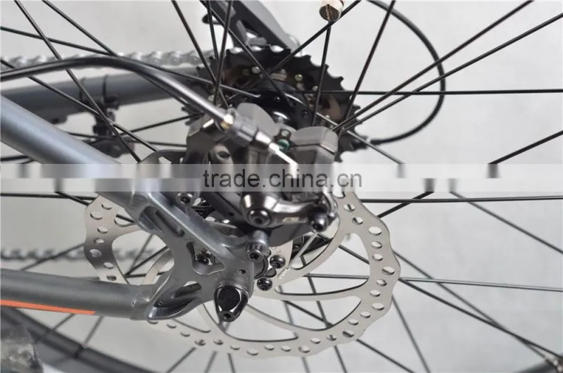 26 Inch 36V 500W Cool Moutain Type Snow Bike With Fat Tyre e-bike