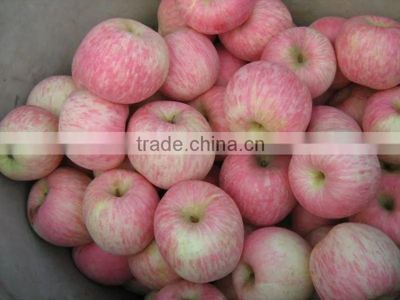 2014 new fresh fuji apple