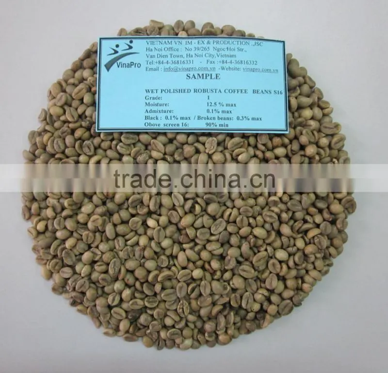 Wet polished robusta green coffee beans S16