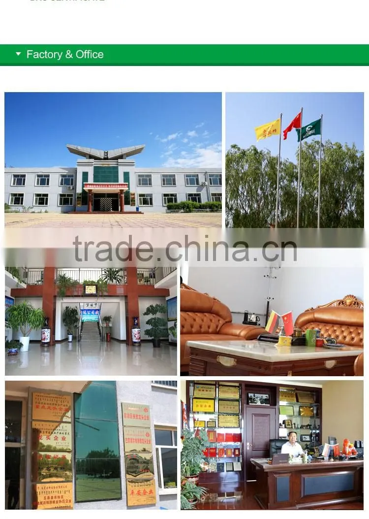 chinese inner mongolia new shine skin pumpkin seeds