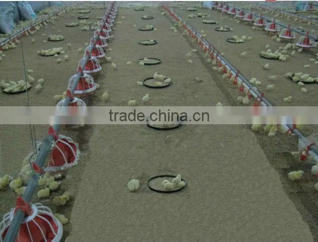 hot sale! Poultry feeding system