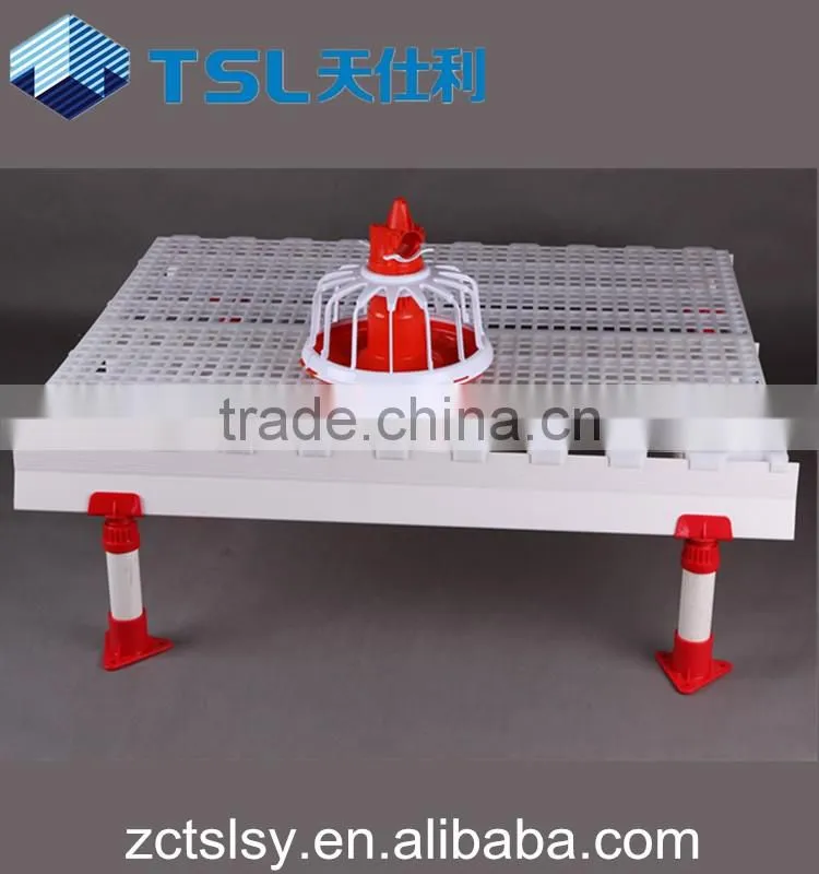 china farm plastic chicken slat floor