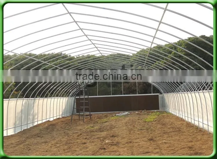 Poly greenhouse for agriculture