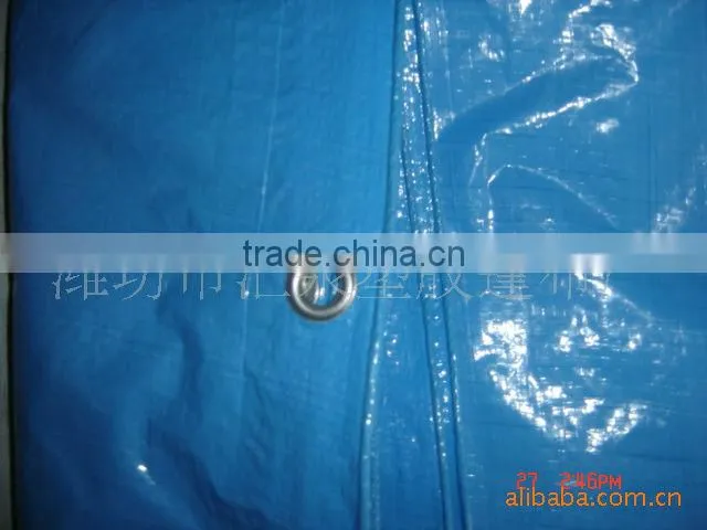 pe tarpaulin in roll/korea pe tarpaulin