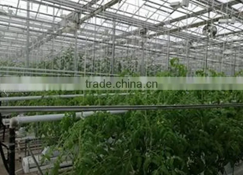 Snow and Ice load glass greenhouse