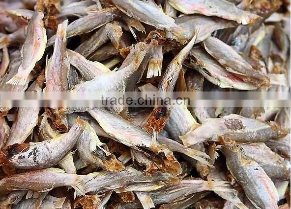 Professional Color Sorter Manufacturer/Polpular Sea Food Color Sorter