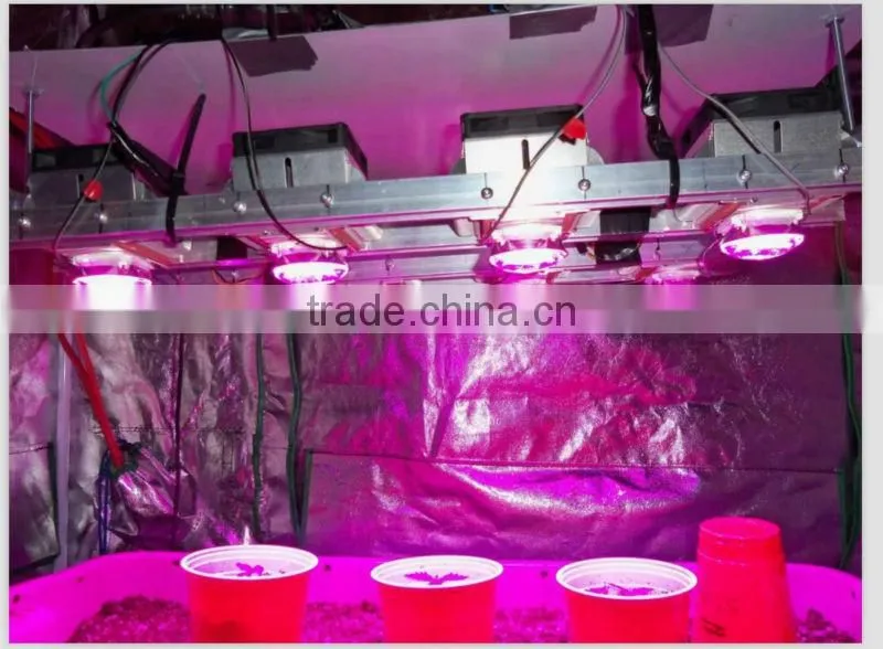 VANQ100W LED Chip Cool White Bulb High Power Energy Saving Lamp Chip