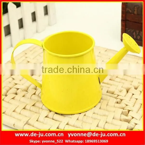 Modern Popular Metal Watering Pot