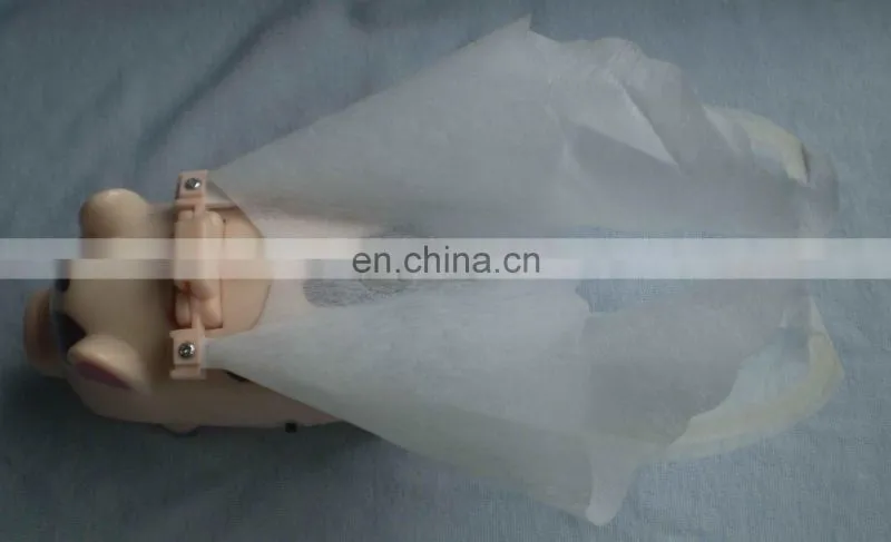 plastic pig electronic toy(OEM)