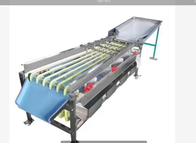 Green Lime Fruit Sorting Grading Machine Sorter Grader Machine Line Classifying Machines