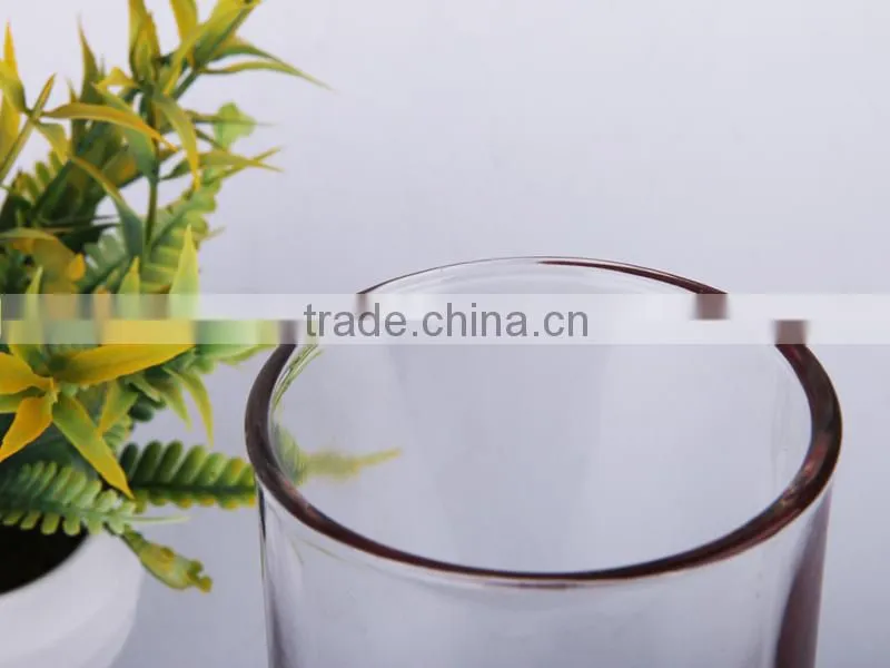 Modern designs round double wall mini glass beer mug / glass tea mug