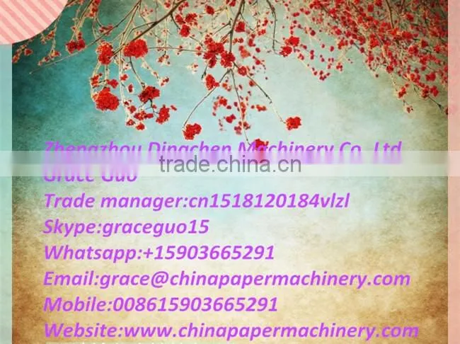 Jumbo Kraft/Craft Paper Slitter, Paper Converting Machinery with Advantage Price