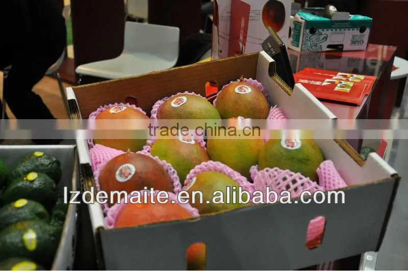 Foam Packaging Products For Bottle