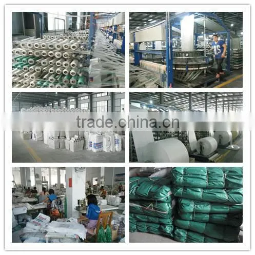 transparent PP rice bag for packing/factory