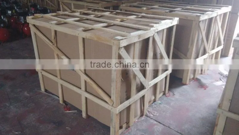 double piston compressor