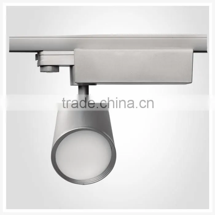 Track light finish color sliver new track light