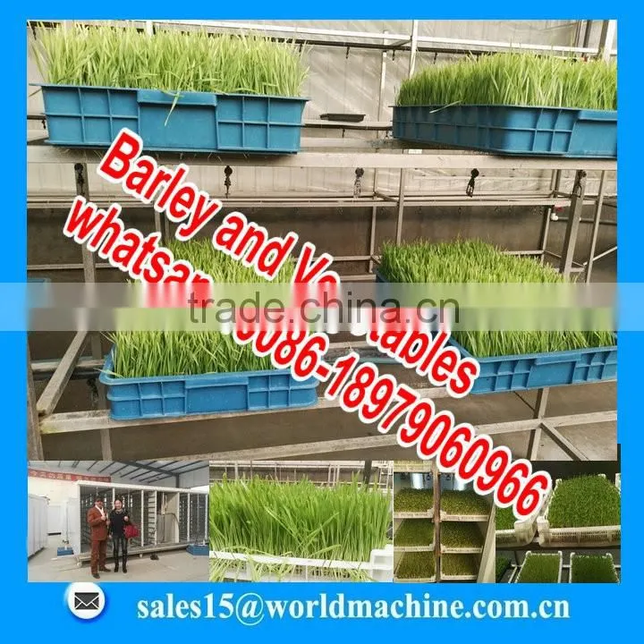 hydroponic cattle green fodder growing machine /live stock feed plant machine for sale