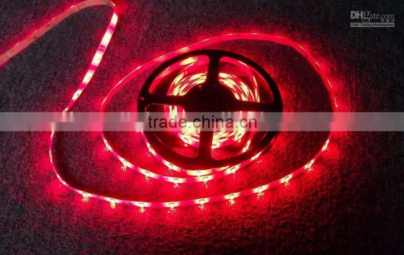 SMD5050 for Halloween and Christmas 12 Volt LED STRIP LIGHT