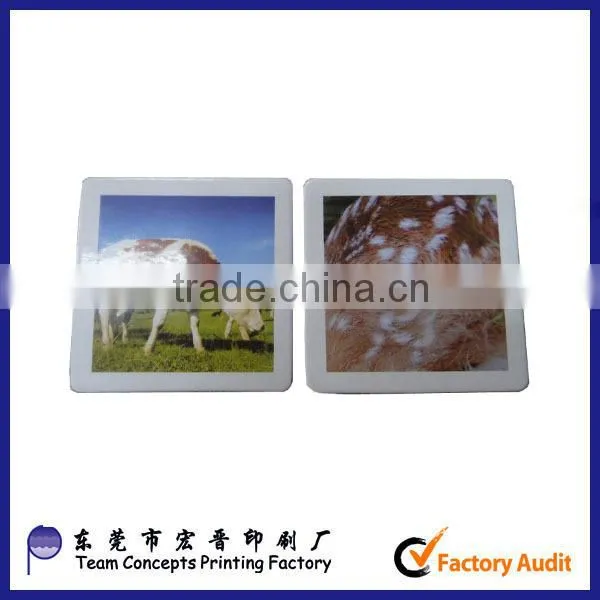 children learning animal memory paper cards