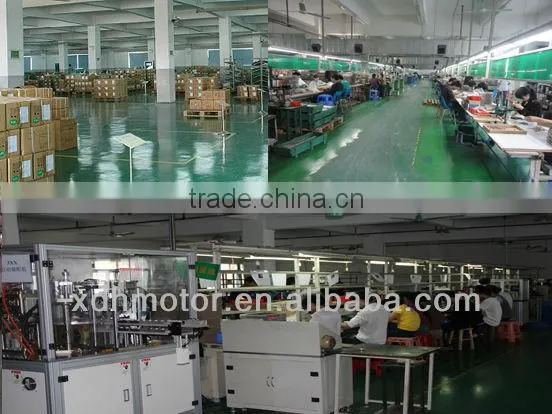Precious Metal Brush 12v dc Motor,6v dc micro motor