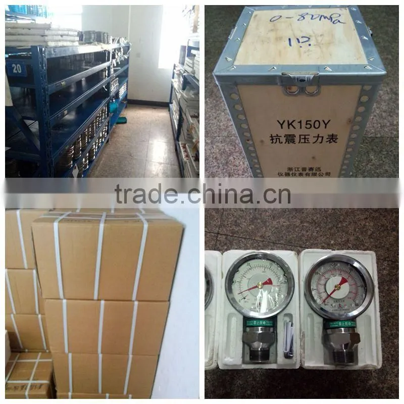Type 100 Weight Indicators