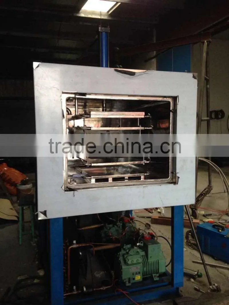 SJIA200FT 2P 6P agriculture freeze dryer