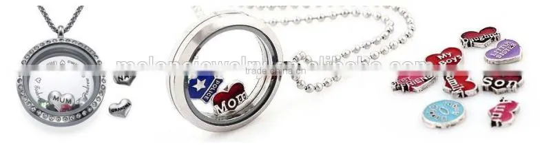 Wholesale The Snow Queen Floating Charms Fit Living Floating Charms Locket