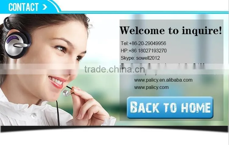 Automatic Electronic PH&ORP Swiming Pool Water Chemical Level Controller