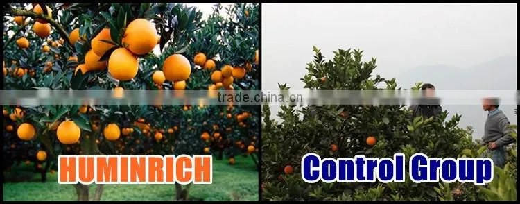 Huminrich 100% Instant Soluble Flush Foliar Spray Micronutrients In Crop Production