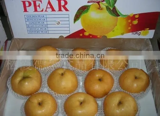 Special container/Reefer/Reefer container/container/transportation to South America