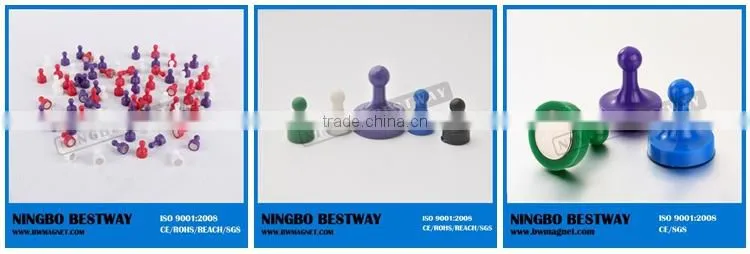Customized Magnet Pin with Strong Ndfeb Magnet