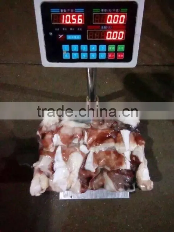 frozen giant Peru squid neck raw squid necks