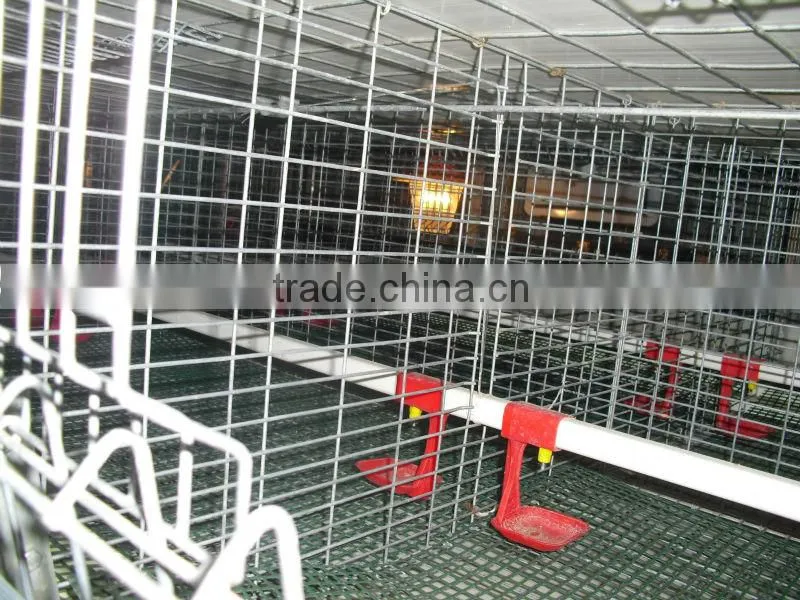 automatic poultry nipple watering system