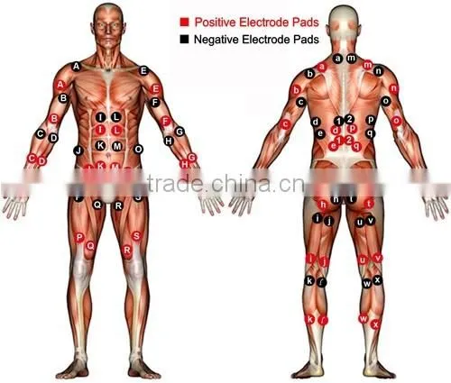 Electronic Muscle Stimulation Slimming Machine