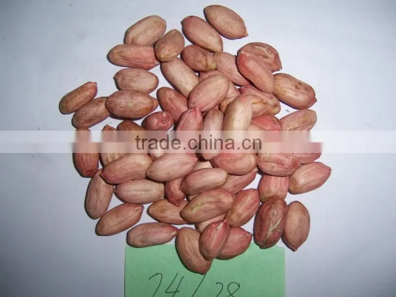 Peanut in Shell 2015 New Crop