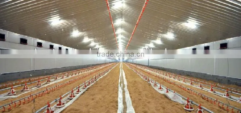 Steel structure chicken shed /environmental control steel house