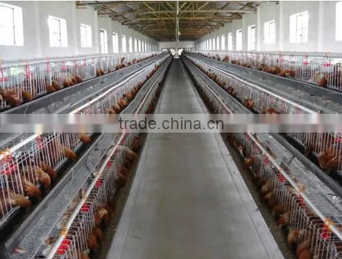 Hot-sale Good Quality Poultry Farm Layer Chicken Cage