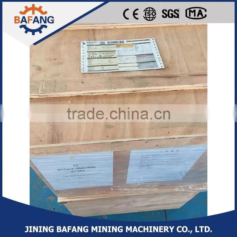 LCD control system single chamber vacuum packing machine for food commercial