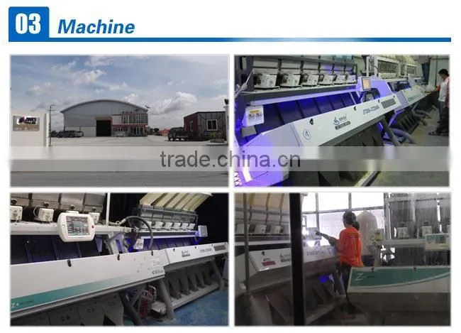 Charge Coupled Device Sensor Bean Color Sorter Equipment With Frequent Ejector , Bean Sorting