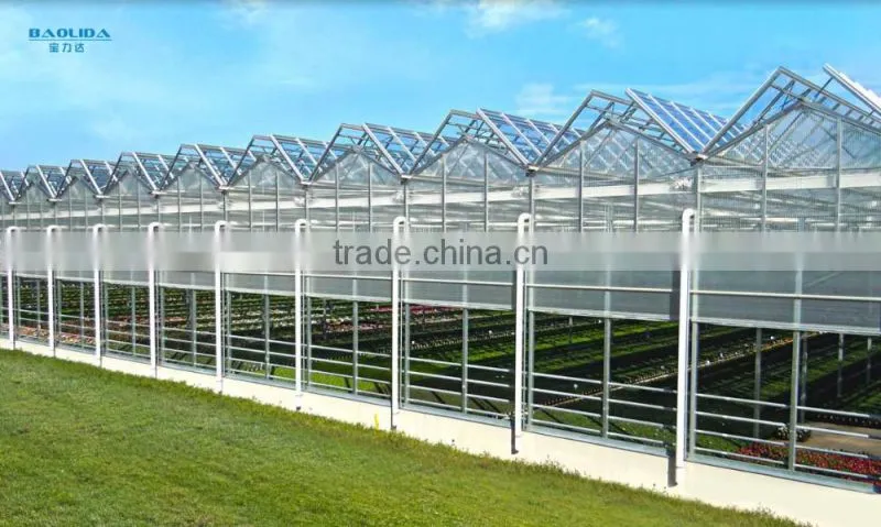 Large commercial glass greenhouseglass/ agricultural greenhouses/Glass venlo greenhouse