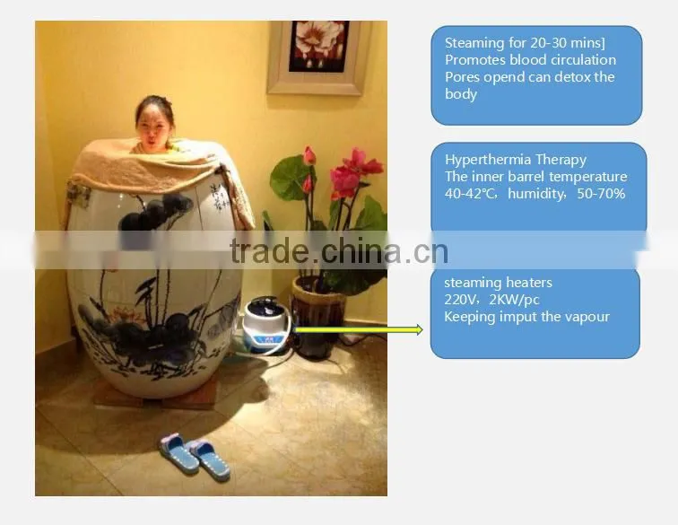 Hyperthermia Therapy anion and far infrared full body steam barrel