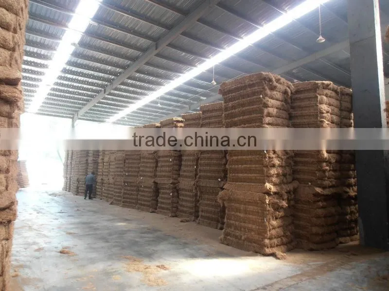 Oil Palm Fibre