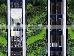 New Style High Quality Artistic Artificial Plant (grass/flower) Wall