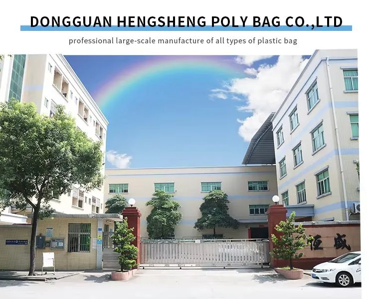 Dongguan Hengsheng Polybag Co.,Ltd company overview - view 1
