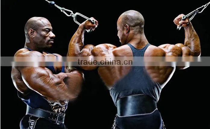 Custom gym body building equipment wrestling belts for sale