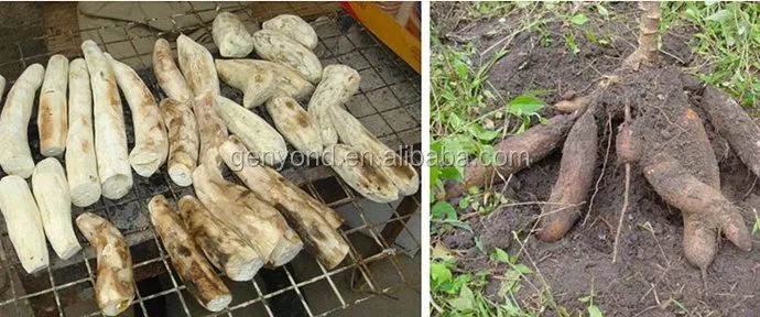 Cassava Washing Machine