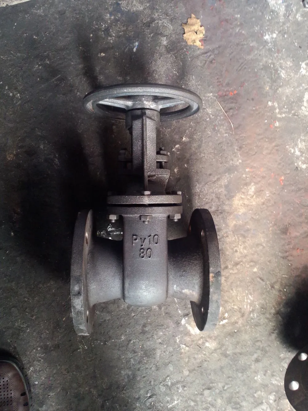 IMG20130911004.jpg.webp