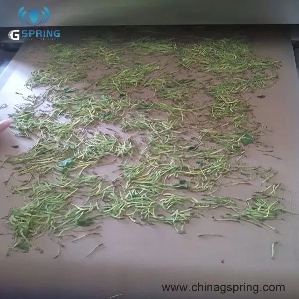 图片-4.jpg.webp