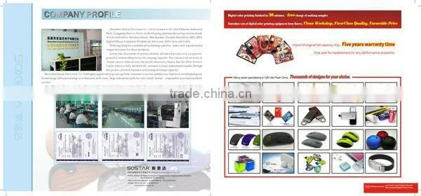 Promotional Gift Key USB/USB Key with Customized Logo