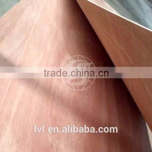 2.4mm commercial plywood for Algeria market